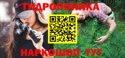 шишки Нарткала